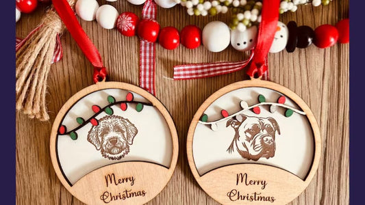 15 Exquisite Christmas Gifts for Dogs