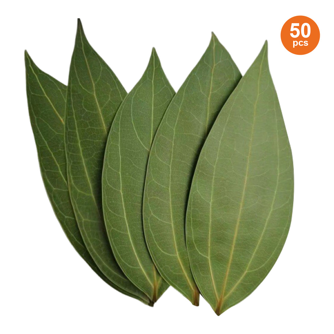 Cinnamon Leaf for Engraving (50pcs)