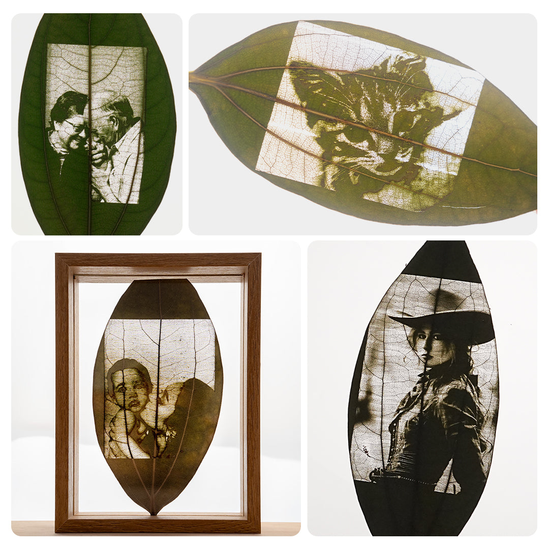 Cinnamon Leaf for Engraving (50pcs)