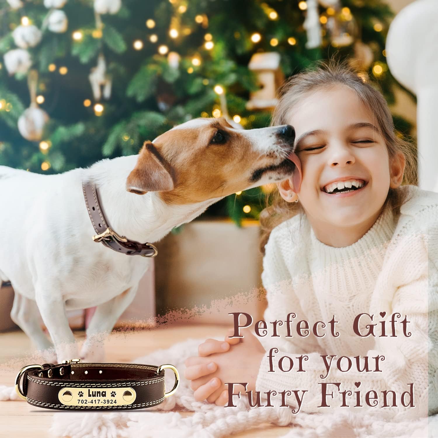 Laser Engraving Leather Dog Collar (Brown, M)