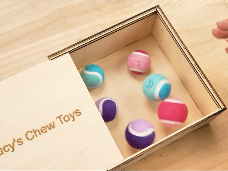 How to Laser Engrave a Wooden Pet Toy Box 000