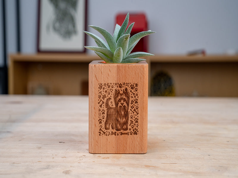 Laser Engraved Wood Plant Pots