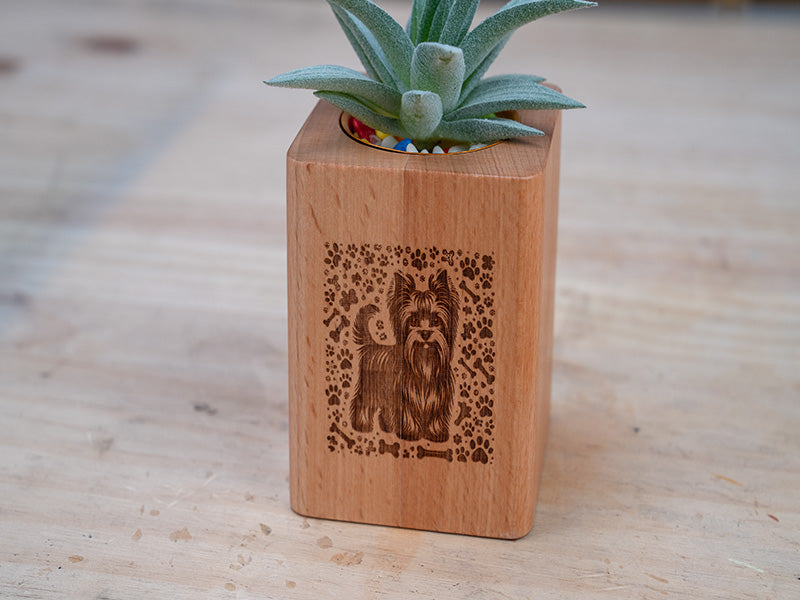 Laser Engraved Wood Plant Pots