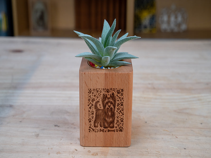 Laser Engraved Wood Plant Pots