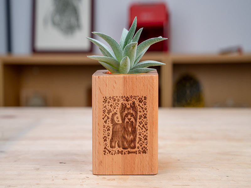 Laser Engraved Wood Plant Pots