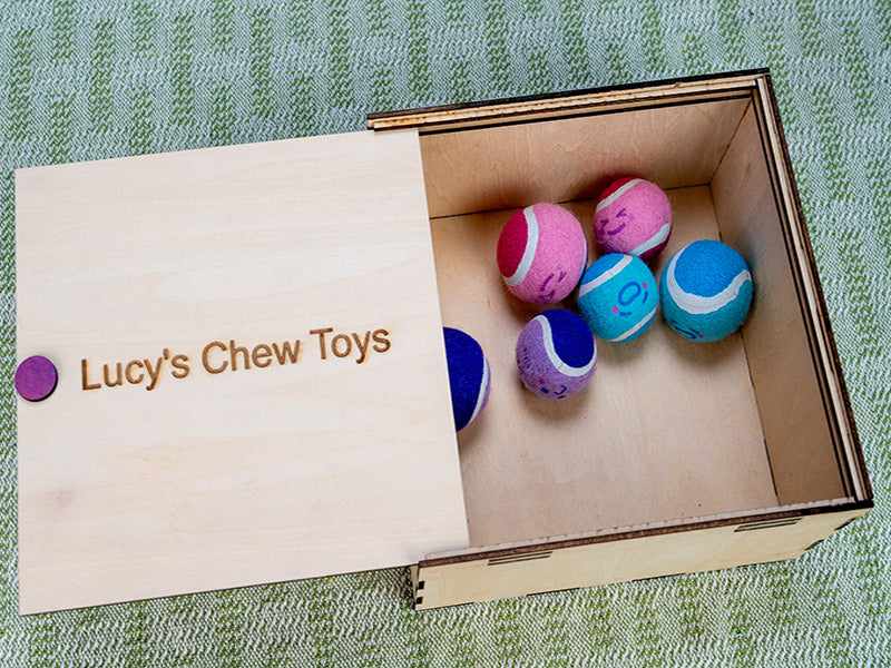 Laser Engraved Wooden Pet Toy Box